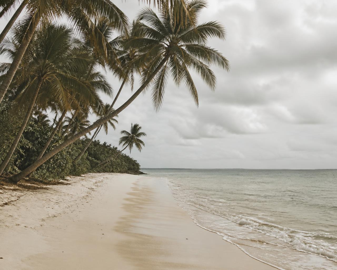 Coconut palms leaning over the private beach
