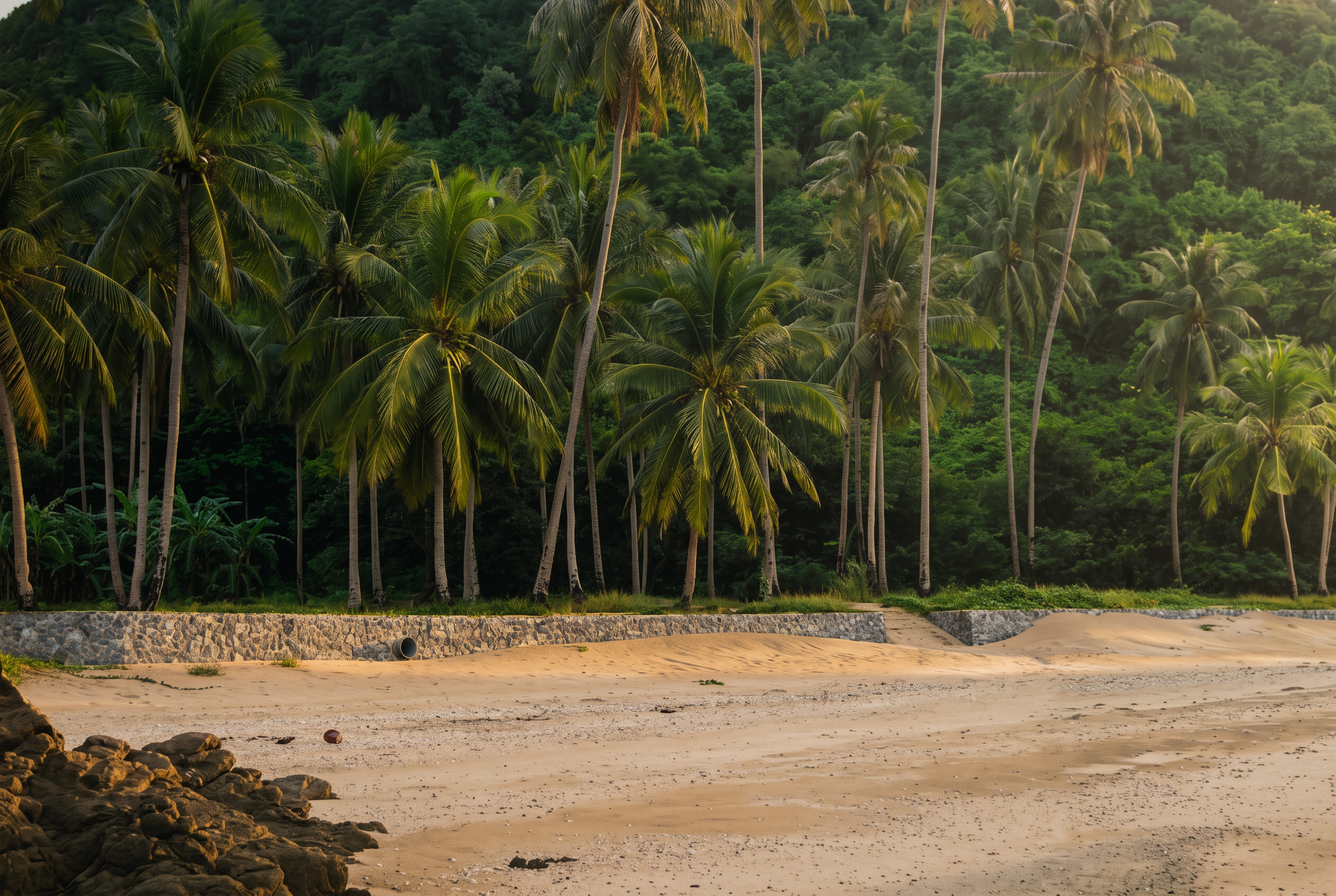 Forested beachfront at Baan Prathap with the engineered stone retaining wall along the shoreline